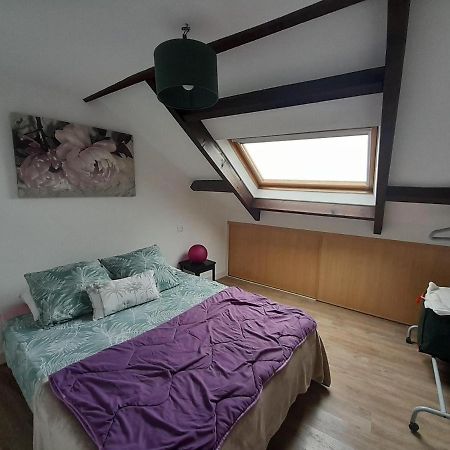 T3 Hyper Centre Vannes Apartment Exterior photo